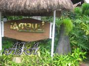 Philippine-Women-1327