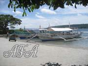 Philippine-Women-983